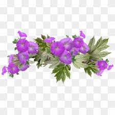 Sustainable Solutions Petunia Flower Stock Png Transparent Png 900x900 782122 Pngfind
