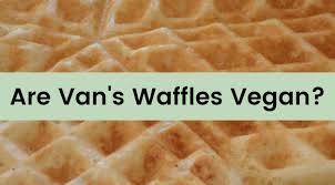 I noted some reviews stating that these taste . Are Van S Waffles Vegan We Cover Gluten Free Blueberry Power Grains More