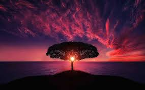 Spring illustration of boy standing under the tree. 90 000 Stunning Sunset Pictures Images Hd