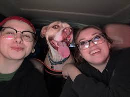 Newfoundland dog growth and development milestones