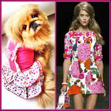 kopek modasi kemique com cicekli kopek kiyafeti floral dog dress kiyafet elbise kopek