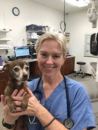 Republic Veterinary Staff