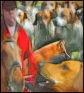 Royal Society for the Protection of Birds kills even more foxes