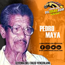 Pedro Maya