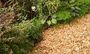 We deliver free wood chips/mulch to your door. Can I Use Wood Chip Mulch From A Tree Service Garden Gate