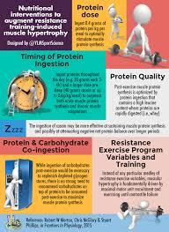 Pin By Ronnie Johansson On Sportinfographics Muscle Hypertrophy Resistance Training Muscle