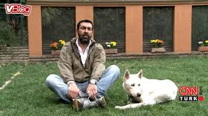 326 Benzersiz Ve Basar Japon Kopek Isimleri Tr Secrettohappypets Com