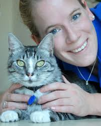 Connect with a doctor from your mobile device; Veterinary Clinic In Dubai Vet Hospital In Dubai