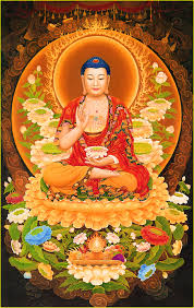 Còn nếu con thấy rằng hành. Ä'á»©c Pháº­t Thich Ca Va Ä'á»©c Pháº­t A Di Ä'a Khac Nhau Tháº¿ Nao