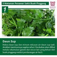 Obat herbal dari daun dewa. Viral Oh Viral 5 Jenis Makanan Penawar Sakit Buah Facebook