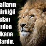 en guzel ve laf sokucu sozler dog jokes funny dog jokes dog training obedience