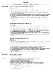 Oracle dba resume samples 5 0 43 votes for oracle dba resume samples. Business Development Consultant Resume Samples Velvet Jobs