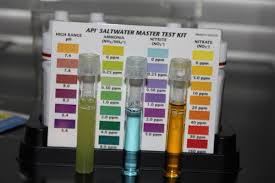 50 Methodical Reef Master Test Kit Color Chart