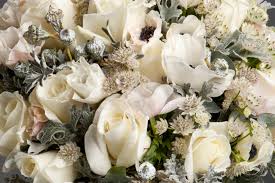 We did not find results for: 8 Florist Yang Harus Kamu Follow Di Instagram Meet The Expert The Bride Dept