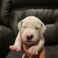 We are getting more active everyday. Spots are starting to break thru and  we are seeing our first slivers of the world.