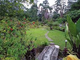 Surrounded by rainforest, the bungalow is designed to create a simple state of relaxation and communion with nature. Path Leading To The Bungalow Unit Bild Von Sailor S Rest Janda Baik Tripadvisor