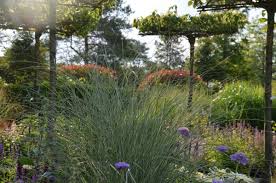 Der bauerngarten des botanischen gartens von würzburg befindet sich gleich am eingangsbereich gegenüber der prärie. Garten Von Ehren Gartenzentren Pflanzen Gartenartikel Kleinhandel In Hamburg Adresse Offnungszeiten Bewertungen Tel 04075115 Infobel
