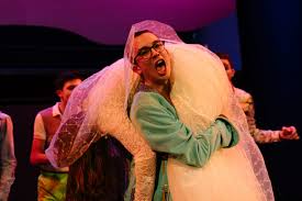 Het Temmen van de Feeks