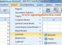 Tutorial Analisis Korelasi Rank Spearman Dengan Spss Spss Indonesia