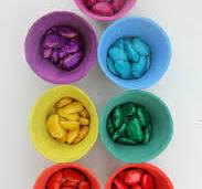 Magic Coloured Beans Sorting Activity - The Imagination Tree