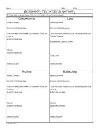 Nomenclature worksheet 2 answer key, evolution worksheet. Biochemistry Macromolecule Summary Biology Homework Worksheet Tpt