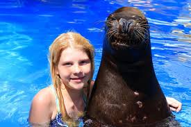 11-year-old Sophia Ballinger, a bright and kind 6th grader from Portland  West Middle School in Tennessee, has passed away after several days in the  hospital. Her family says Sophia had been facing