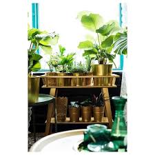Lantliv Blumenstander Weiss Hier Kaufen Ikea Deutschland Ikea Plants Ikea Catalog Plants