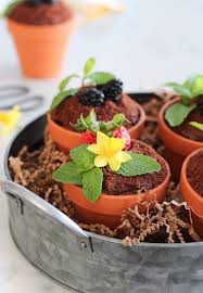 Spring Flower Pot Cakes Recipe In 2020 Flower Pot Cake Pot Cakes Flower Pots