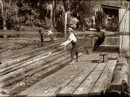 14 Year Old Black Boy Killed River Boy November 1913 Beaumont Texas Hard Work And Dangerous River Boy Lyman Frugia Poles The Heavy Logs Into The I Shorpy Historical Photos Old Photos Historical Photos