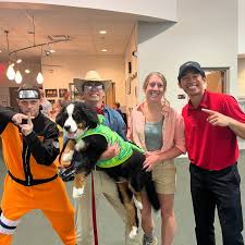 Some of the best family group costumes from our team Halloween party.  Featuring multiple pictures of Wally the track dog as a velociraptor.