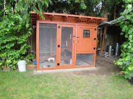 Top keywords % of search traffic. Urban Coop Backyard Chickens Learn How To Raise Chickens