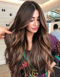 Best Hair Color Highlights For Long Hair In 2020 Long Hair Highlights Hair Color Highlights Long Hair Styles