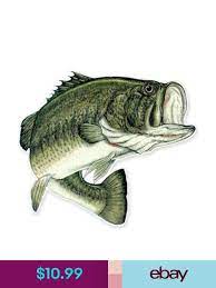 Largemouth Bass Fishing Fish Car Vinyl Sticker Select Size Fishing Decals Fish Illustration Largemouth Bass Fishing