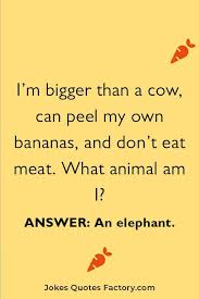 There's a big chance that your. 15 Easy And Funny Animal Riddles For Kids With Answers 2021