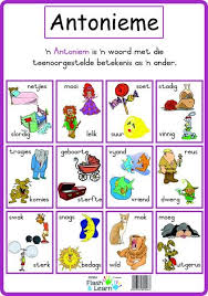 Antonieme Colourful High Quality Posters Making Learning More Fun Also Great For Enhancing The Learning E Afrikaans Kids Preschool Learning Afrikaans Language