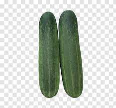 Thousands of companies like you use panjiva to research suppliers and competitors. Vegetable Cartoon Squash Winter Melon Transparent Png