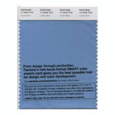 Pantone 17 4032 Tcx Swatch Card Lichen Blue