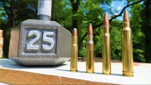 In this video i test some very popular hunting rifle ammunition. Shooting A Dumbbell 30 30 Vs 308 Vs 30 06 Vs 300 Win Mag Youtube