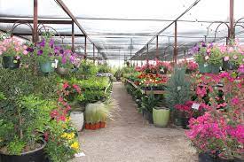 Home appliances midland, tx professional & commercial equipment midland, tx flooring stores midland, tx home improvement stores midland, tx hardware la casa verde nursery incorporated. Landscape Design Materials Nursery Midland Tx Agave Garden Center