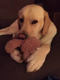 Custom Ram Truck Build with Layton Keith's Fabrication