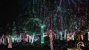 Columbus Zoo Wildlights Columbus Zoo Zoo Winter