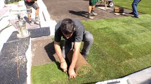 Wir sind mitglied im verband der landschaftsgärtner und halten so hohe qualitätsstandards ein. Verband Garten Und Landschaftsbau Baden Wurttemberg Youtube