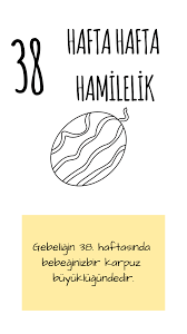 hamileligin 38 haftasi hamilelik rehber baski
