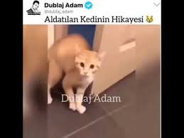 Kediyi Yakan Adam