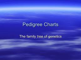 Pedigree Charts Powerpoint