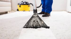 Reinigung und färben von ledermöbeln; Teppich Und Polsterreinigung As Gebaudeservice Gmbh