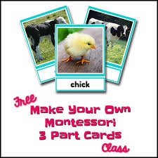 There's nothing to install—everything you need to create your business card design is at your fingertips. Montessori Monday Free Make Your Own Montessori 3 Part Cards