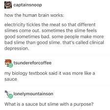 53 Times We Laughed Our Asses Off On Tumblr Brobible