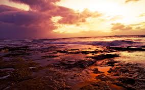 Last ned alle bilder og bruk dem for selv kommersielle fotos drucken wunderschöne bilder bilder strand amerika reisen wunderschöner sonnenaufgang. Herunterladen Hintergrundbild Hawaii 4k Strand Kuste Sonnenuntergang Pazifik Usa Amerika Mit Einer Auflosung Zu Uberwachen 3840x2400 Bilder Auf Dem Desktop