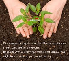 Words Are Seeds They Do More Than Blow Around They Land Idlehearts